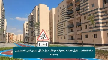 حالة الطلب.. طرق فعالة لمعرفة موقف حجز شقق سكن لكل المصريين بسرعة